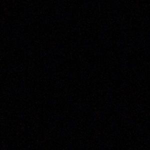 Meet your Posher, Reggie